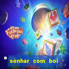 sonhar com boi branco jogo do bicho